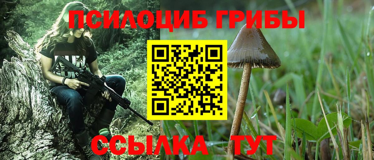 Псилоцибиновые грибы мухоморы  Вход с VPN  Псилоцибиновые грибы мухоморы  Черкесск 